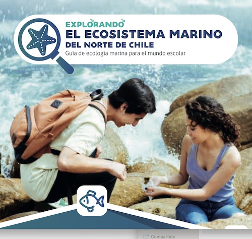 Explorando el ecosistema marino del norte de Chile